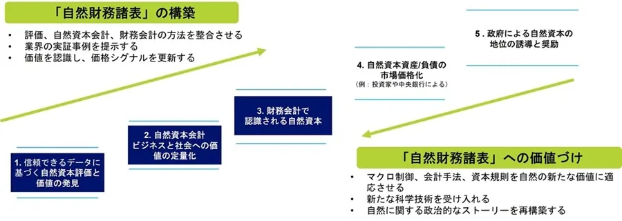 自然財務諸表の構築、自然財務諸表への位置づけ